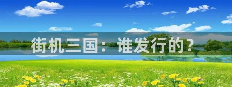 亿万28子书店：街机三国：谁发行的？
