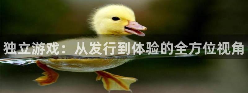 亿万28子文化是干嘛的：独立游戏：从发行到体验的全方位视角