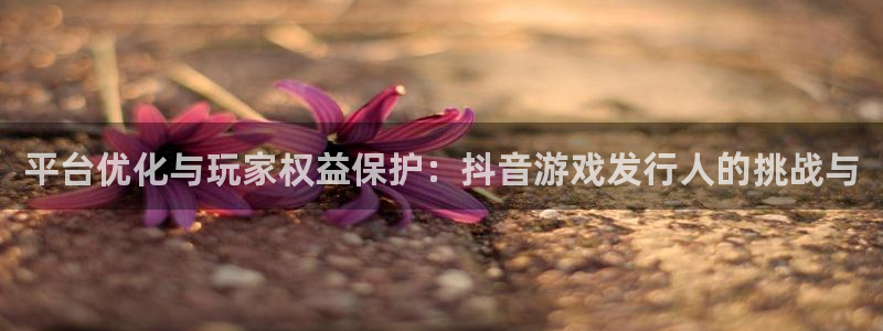 亿万28品牌服装：平台优化与玩家权益保护：抖音游戏发行人的挑战与