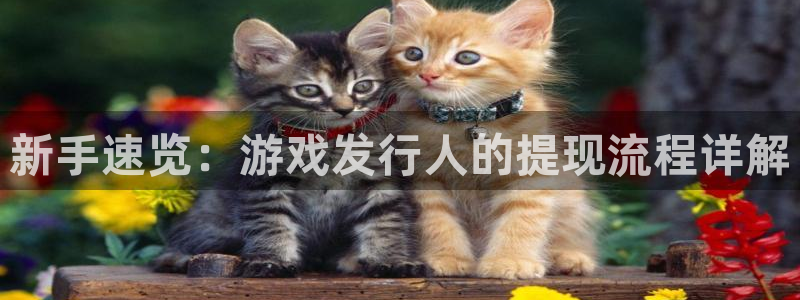 亿万28注册开户：新手速览：游戏发行人的提现流程详解