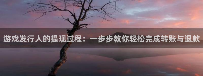 亿万28官网价 5O6917 亿万28：游戏发行人的提现过程：一步步教你轻松完成转账与退款