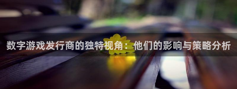 亿万28是什么品牌：数字游戏发行商的独特视角：他们的影响与策略分析