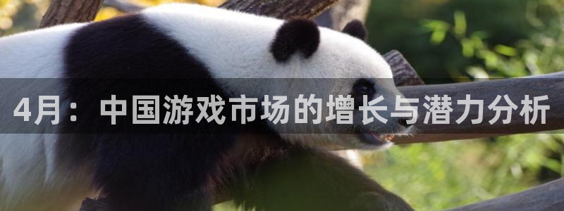 法国亿万28lvnces是奢侈品吗：4月：中国游戏市场的增长与潜力分析