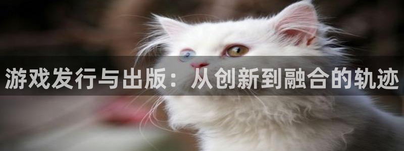亿万28运动装有哪些品牌