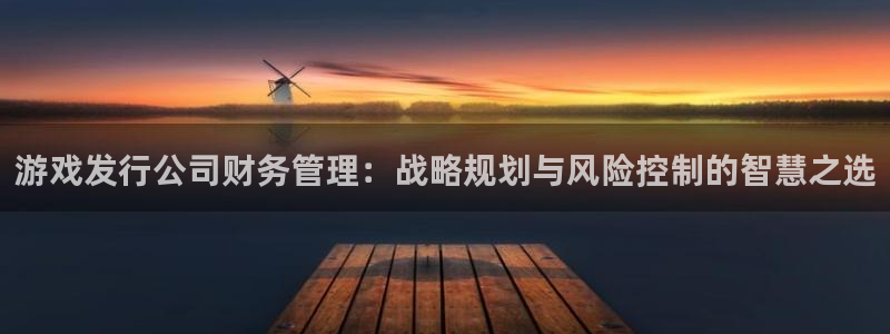 亿万28官网注册登录失败：游戏发行公司财务管理：战略规划与风险控制的智慧之选
