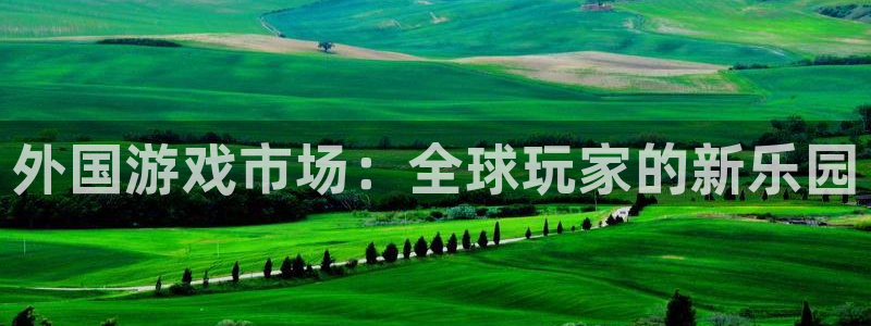 亿万28集团公司怎么样：外国游戏市场：全球玩家的新乐园