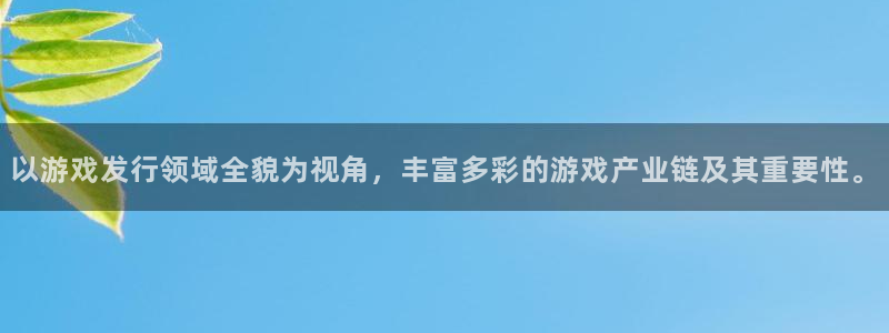 亿万28品牌策划：以游戏发行领域全貌为视角，丰富多彩的游戏产业链及其重要性。