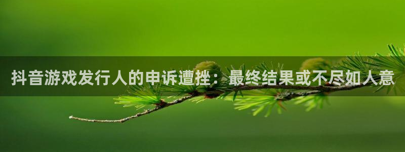 重庆亿万28子文化传播有限公司：抖音游戏发行人的申诉遭挫：最终结果或不尽如人意