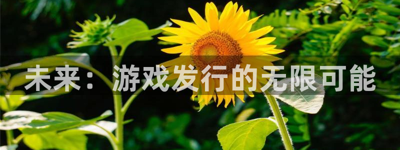 亿万28的所有小说