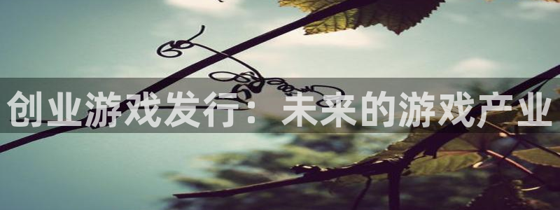 亿万28技术有限公司招聘