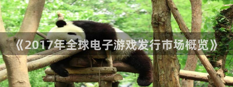 亿万28官网登录注册账号是什么意思：《2017年全球电子游戏发行市场概览》