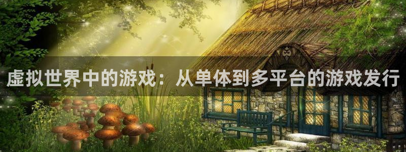 亿万28官网客服服务怎么样：虚拟世界中的游戏：从单体到多平台的游戏发行