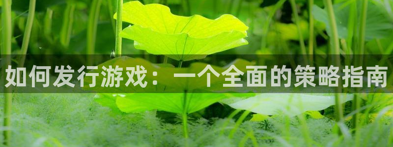 亿万28官网主管他494o3 主管：如何发行游戏：一个全面的策略指南