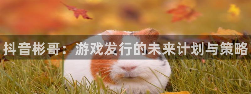 亿万28官网登录注册账号：抖音彬哥：游戏发行的未来计划与策略