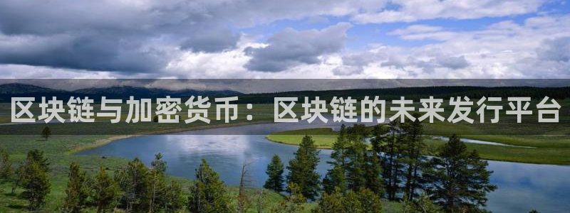 广东亿万28电子商务有限公司电话：区块链与加密货币：区块链的未来发行平台