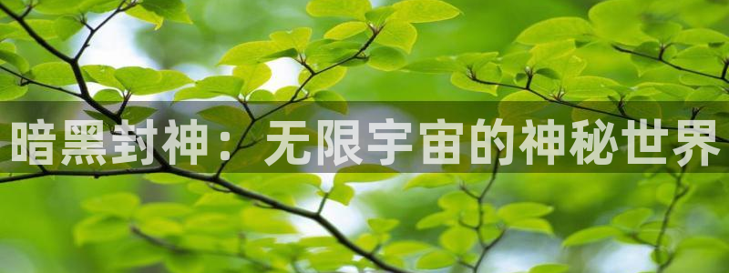 亿万28户外：暗黑封神：无限宇宙的神秘世界