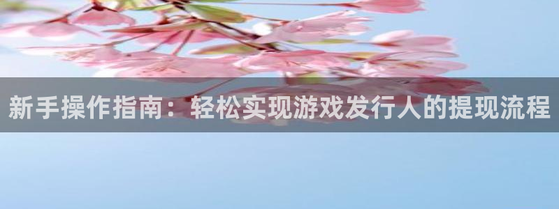 亿万28官网客服怎么样：新手操作指南：轻松实现游戏发行人的提现流程