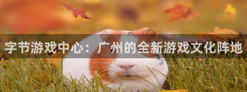 亿万28官网登录注册账号安全吗安全吗：字节游戏中心：广州的全新游戏文化阵地