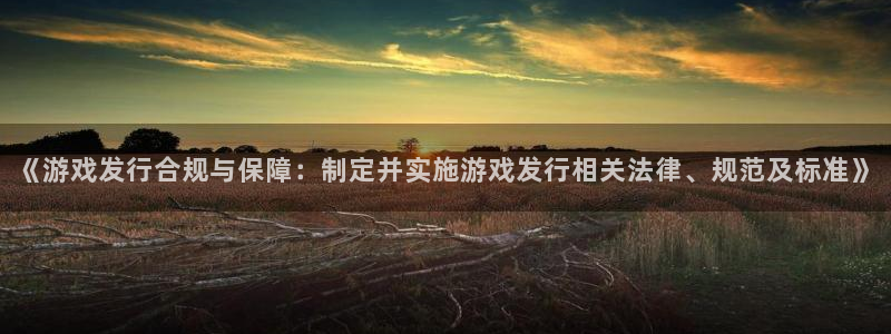 亿万28官网分分彩：《游戏发行合规与保障：制定并实施游戏发行相关法律、规范及标准》
